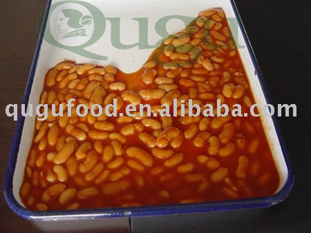 canned white kidney beans in tomato sauce/ canned food/canned beans