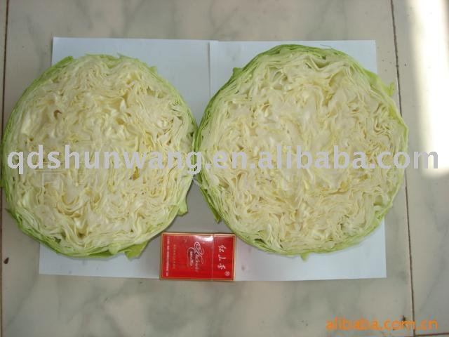 2011 fresh chinese round  cabbage 2.0kg