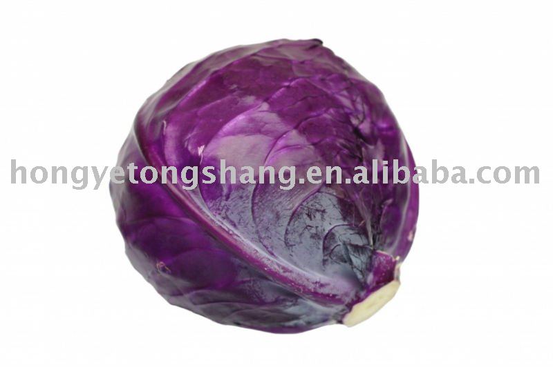 Supply  Chinese   Red   Cabbage 