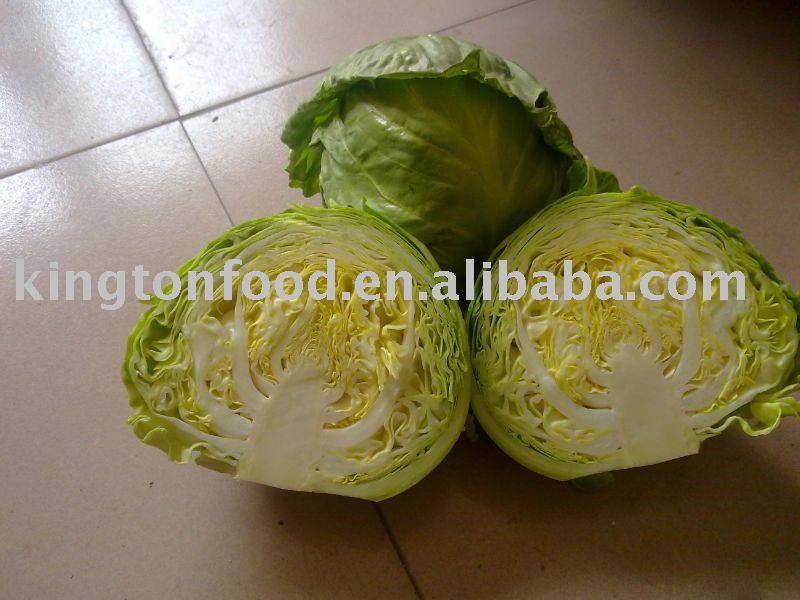 2011 fresh green cabbage