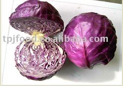 Fresh Purple Cabbage