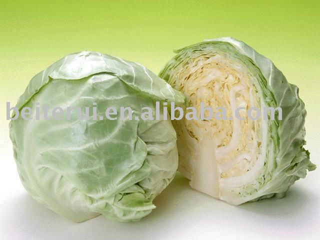 Fresh Cabbage