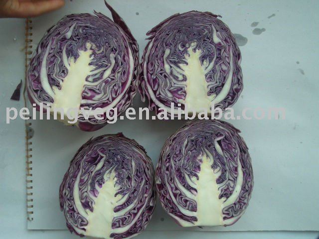 2011  FRESH   PURPLE   CABBAGE 