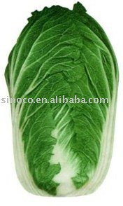 Chinese cabbage