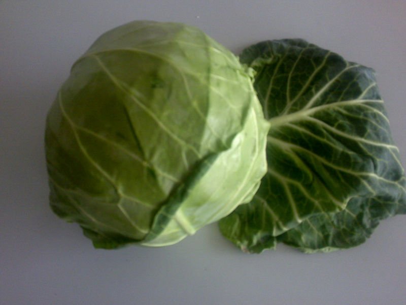 Cabbage