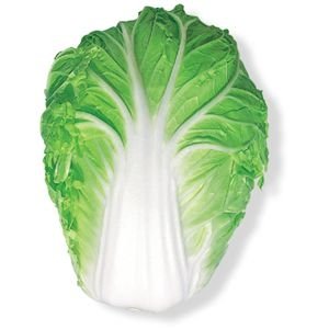 Seeds of Chinese Cabbages