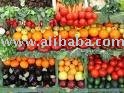 Cruciferous Vegetables and other Vegetables ready for sale now