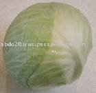 Vegetables - White Cabbage
