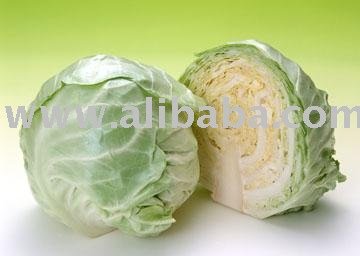 Cabbage