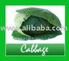 cabagge