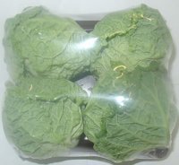 Baby Savoy Cabbage