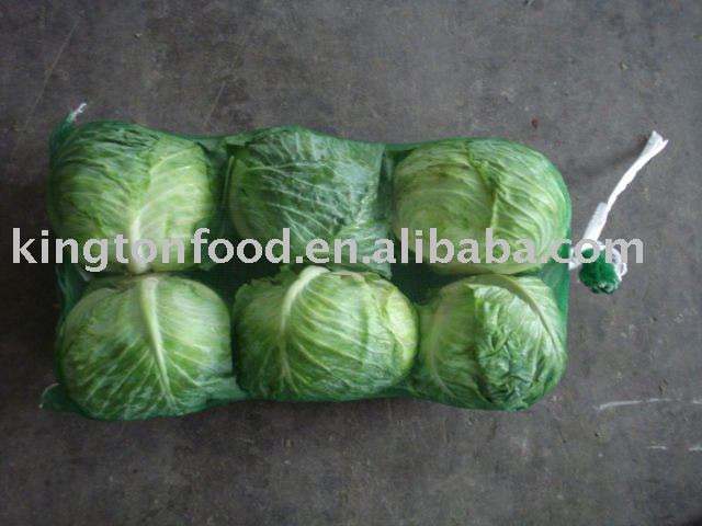 2011 fresh  green cabbage