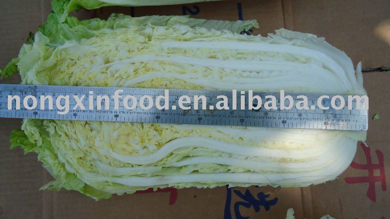 fresh long green Chinese cabbage