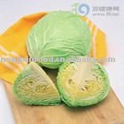  fresh   white   cabbage 