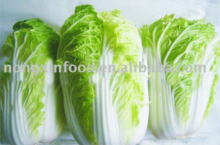  Fresh   Chinese   long   Cabbage 