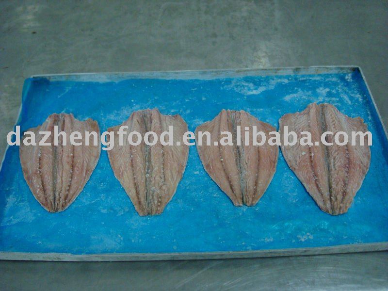 frozen mackerel fillets