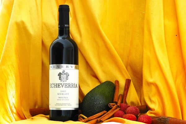 Echeverria Merlot 2002 Reserva
