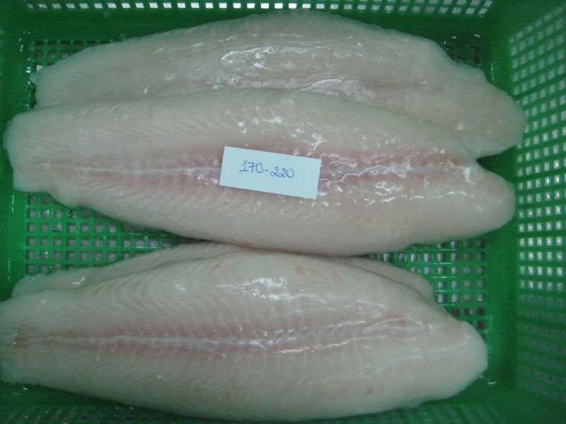 farmed  fresh   fish 