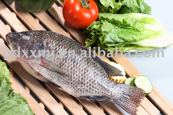 Whole tilapia (GS)