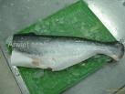 whole round pangasius