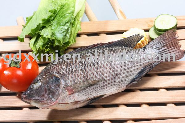 Whole  Tilapia  ( GGS )
