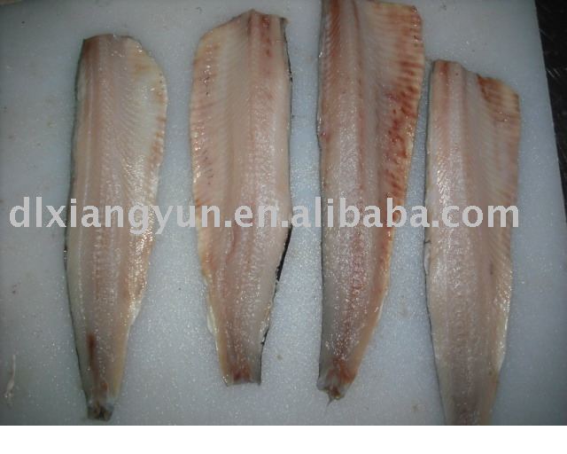 Frozen Herring Fish Fillet