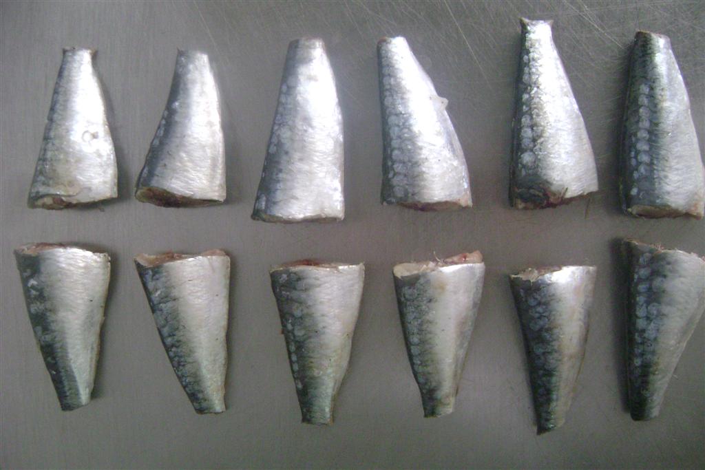 Sardines HGT