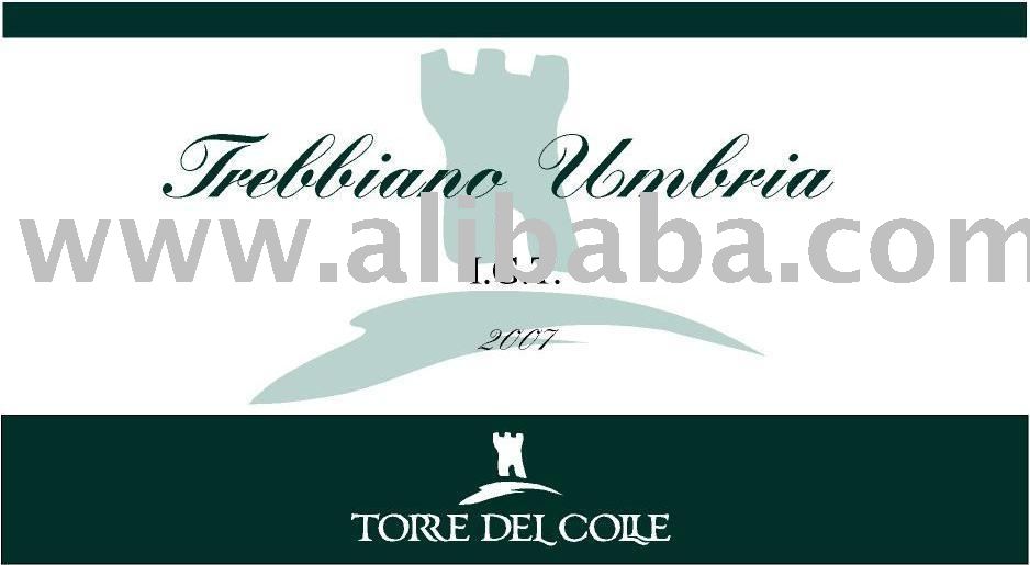 Trebbiano Umbria I.G.T.