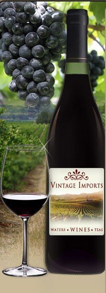 wine -  Baroncini