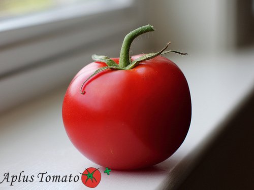 Drum tomato puree/Drum aseptic tomato paste/Drum 28-30% Cold Break