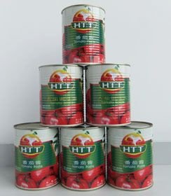 425g Double Concentrated Gino Tomato Paste
