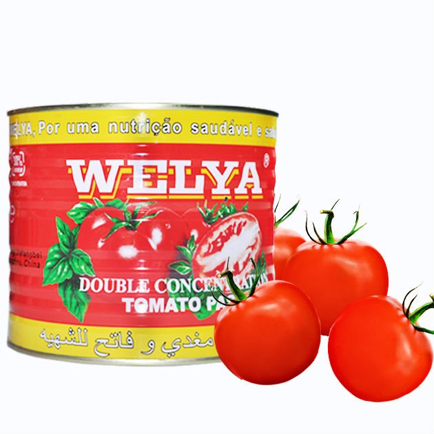 425g Aseptic  Tomato  Product