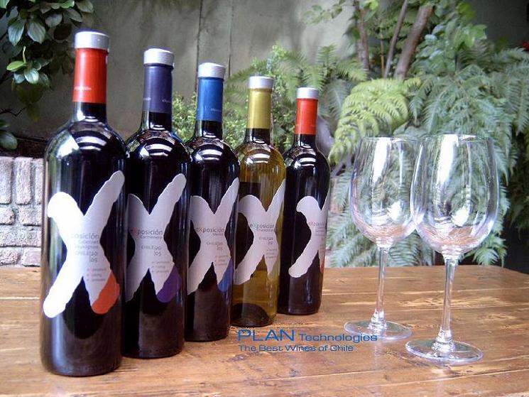 Wines From Chile
