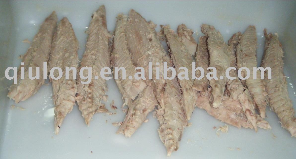  frozen   fish  (tuna loin)