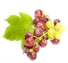 produce of red grape juice  concentrate  ,white grape juice  concentrate 
