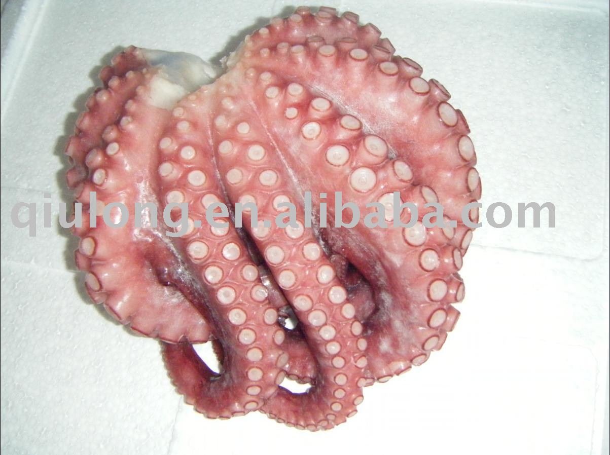delicious food  WR frozen octopus