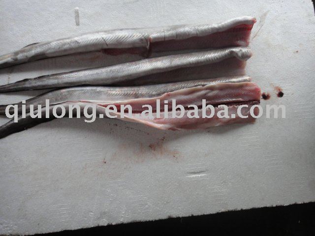  frozen   fish  (  eel  fillets)