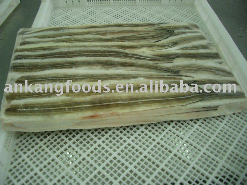 EEL FISH FLLET