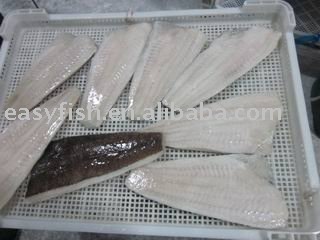  Frozen   arrowtooth  flounder  fillet 