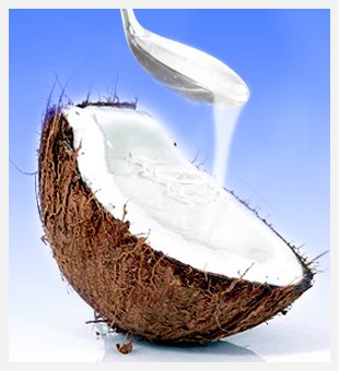  Coconut  cream ( Coconut   syrup )