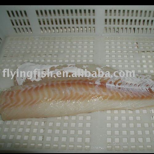 Frozen  P - cod   fillet s 02