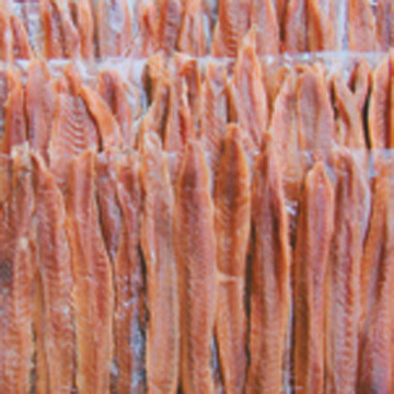 salted anchervy,canned anchervy fillet(Spain,Portugal,Italy,Greece,Russia)
