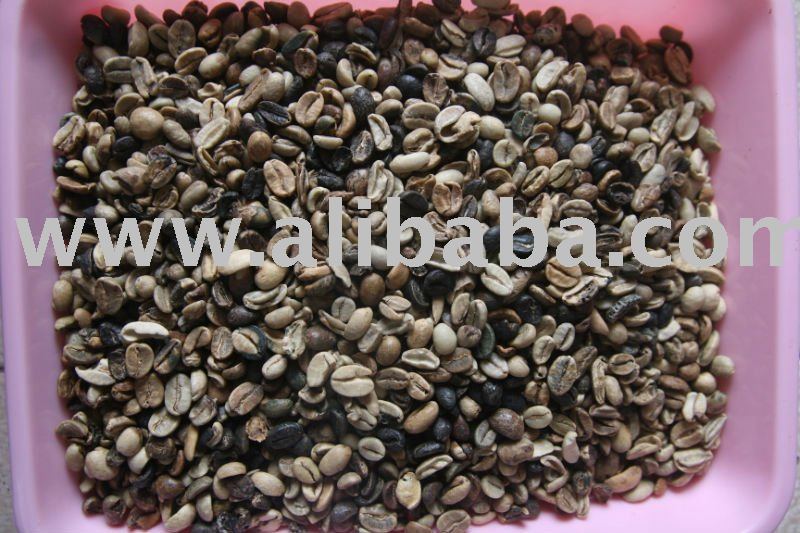  Java   Arabica  Triage