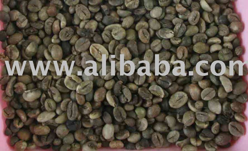 Robusta Coffee  Beans Sumatra Lampung