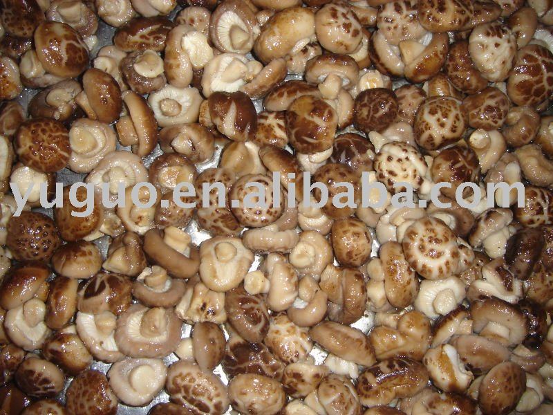 NEW CROP DRIED/ CAN NED   FLOWER  SHIITAKE MUSHROOM