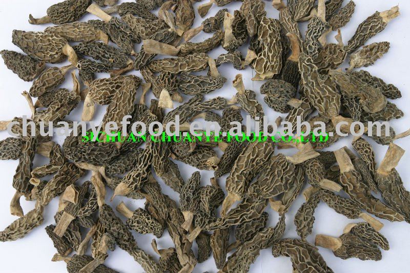 Wild dried morel mushroom