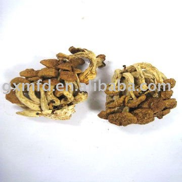  Dried  Mushroom  in  bulk 