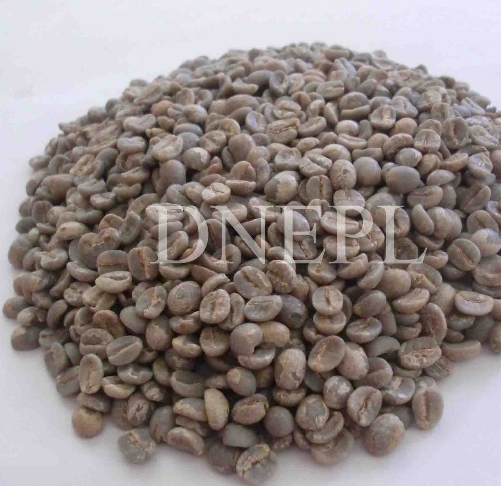 100 % Organic Arabica Coffee Beans