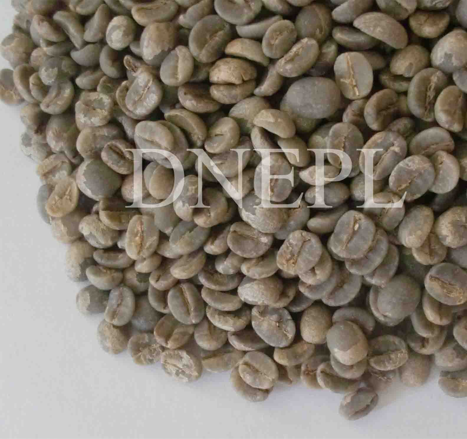 Himalayan Arabica coffee beans