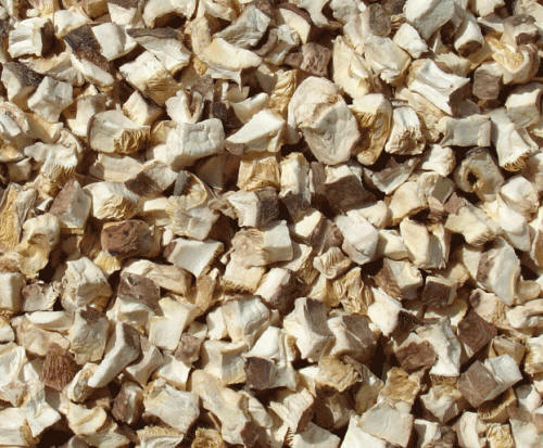 Dried Mushrooms